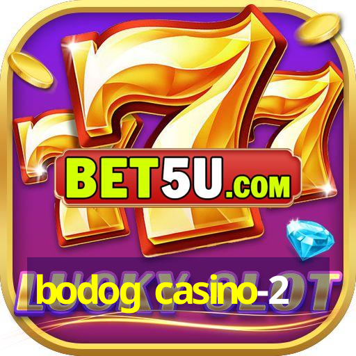 bodog casino